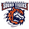 Bridgeport Tigers